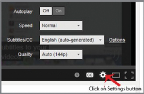 image showing the youtube subtitles box