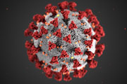 Coronavirus Cases on the Rise in Tennessee